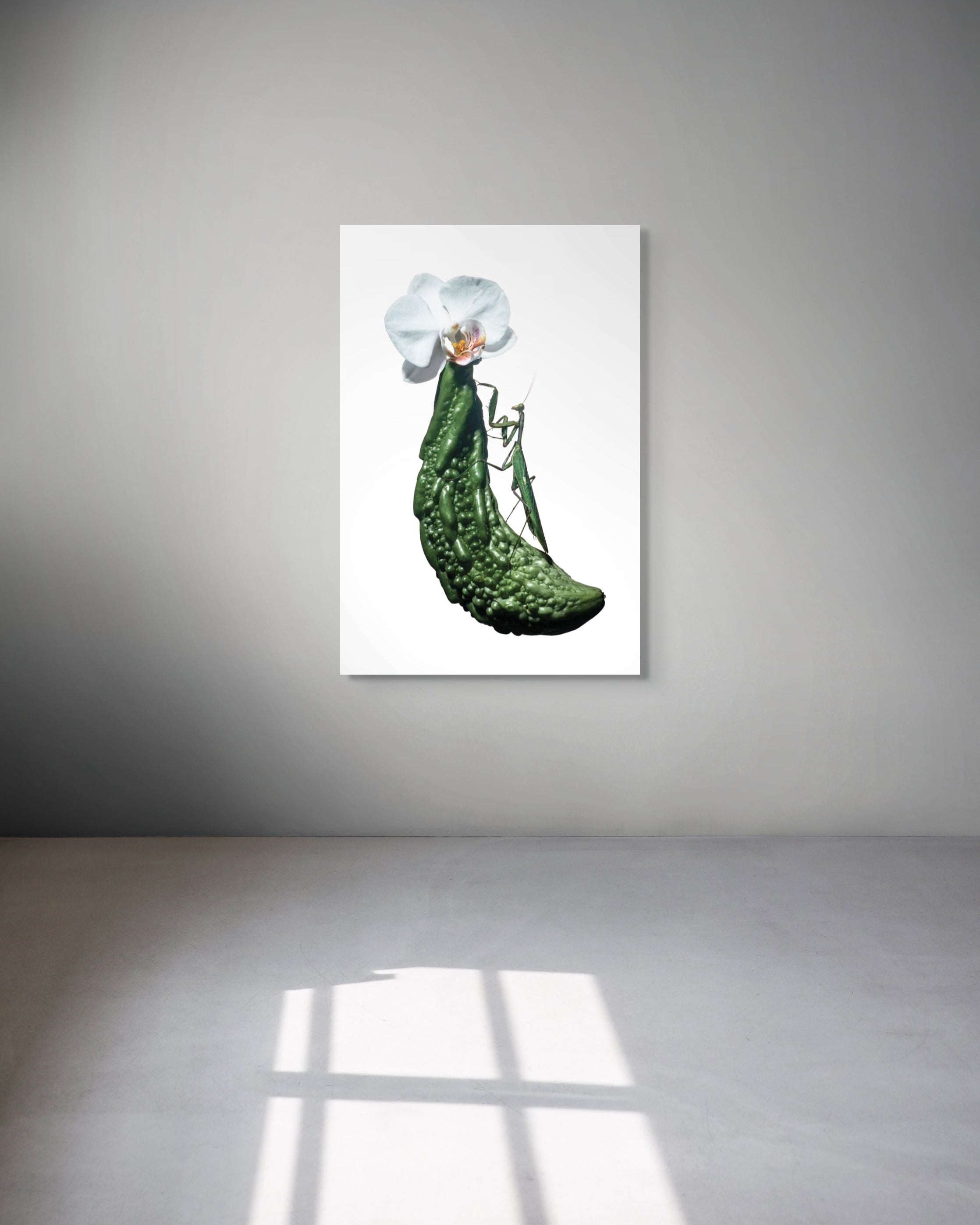 Framed artwork of a praying mantis with white flowers on a gray wall.