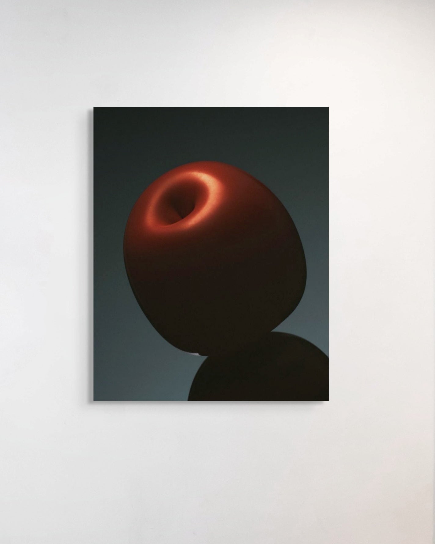 Metal print of a red apple on a dark background