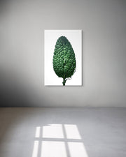 Framed artwork of a green leaf on a white background