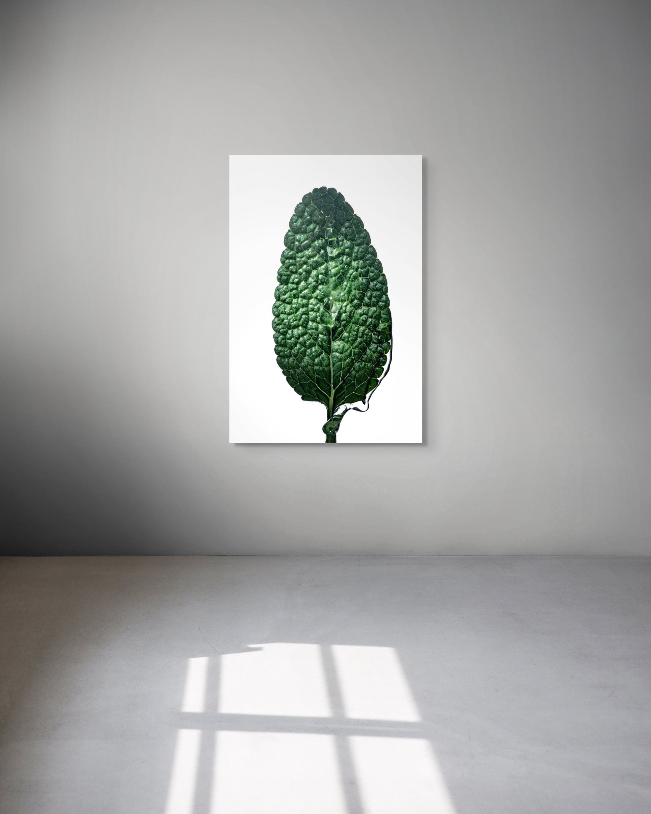 Framed artwork of a green leaf on a white background