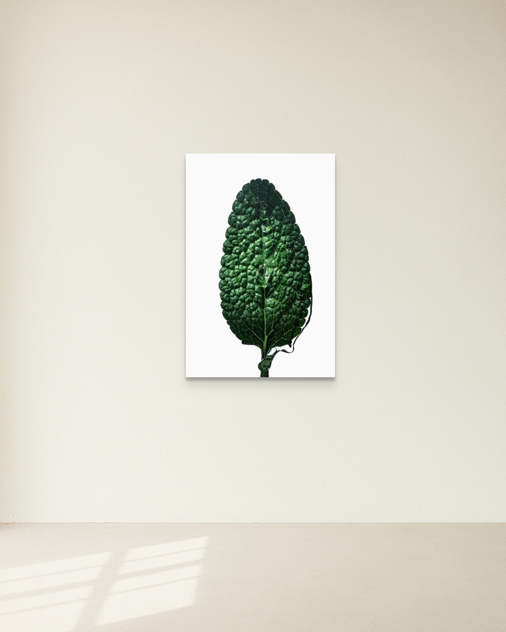Sage Leaf by Sivan Roshianu – Framed and ready to hang limited edition fine art photograph of a green leaf on a white wall.