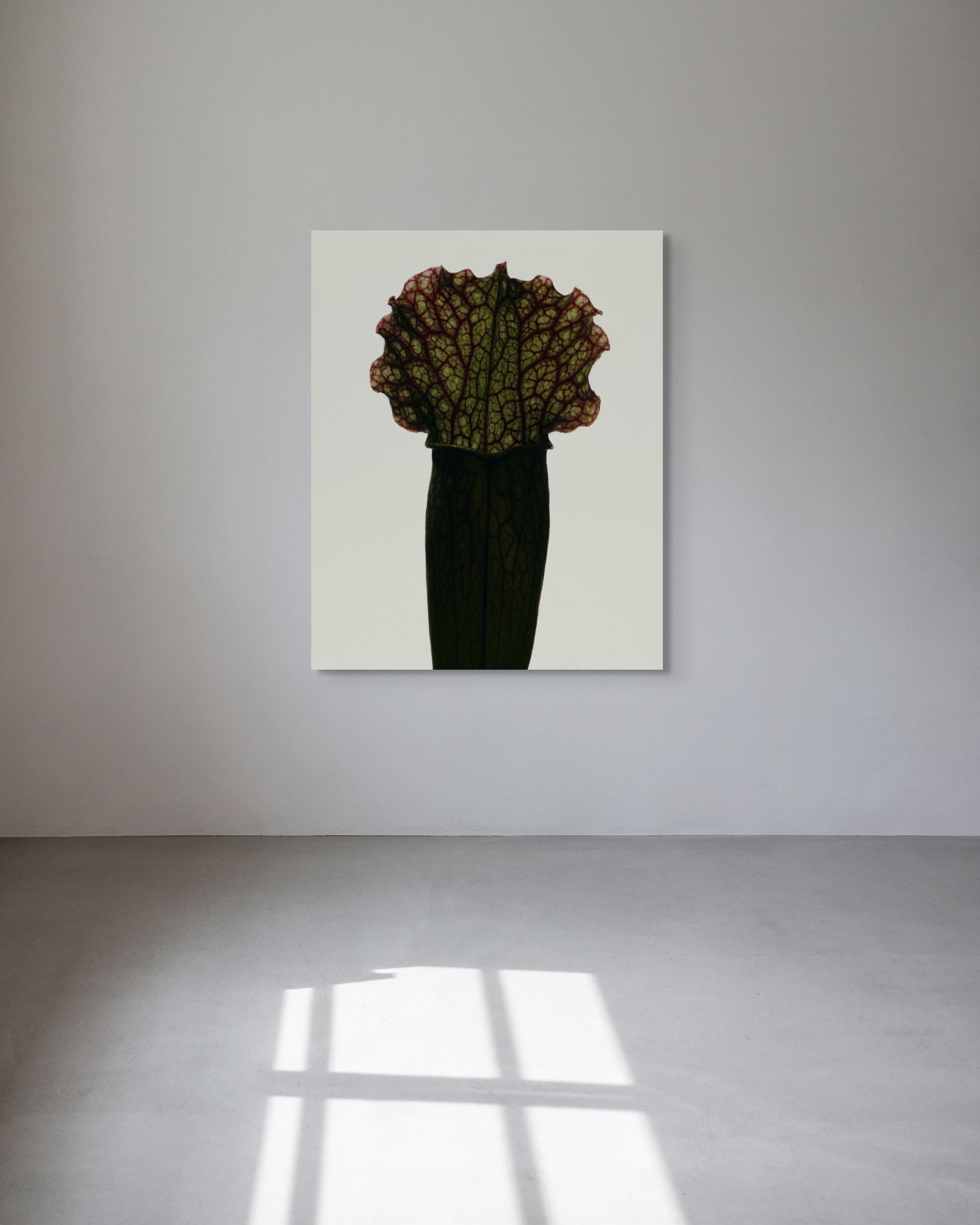 Abstract metal print of a flower-like sculpture on a white wall