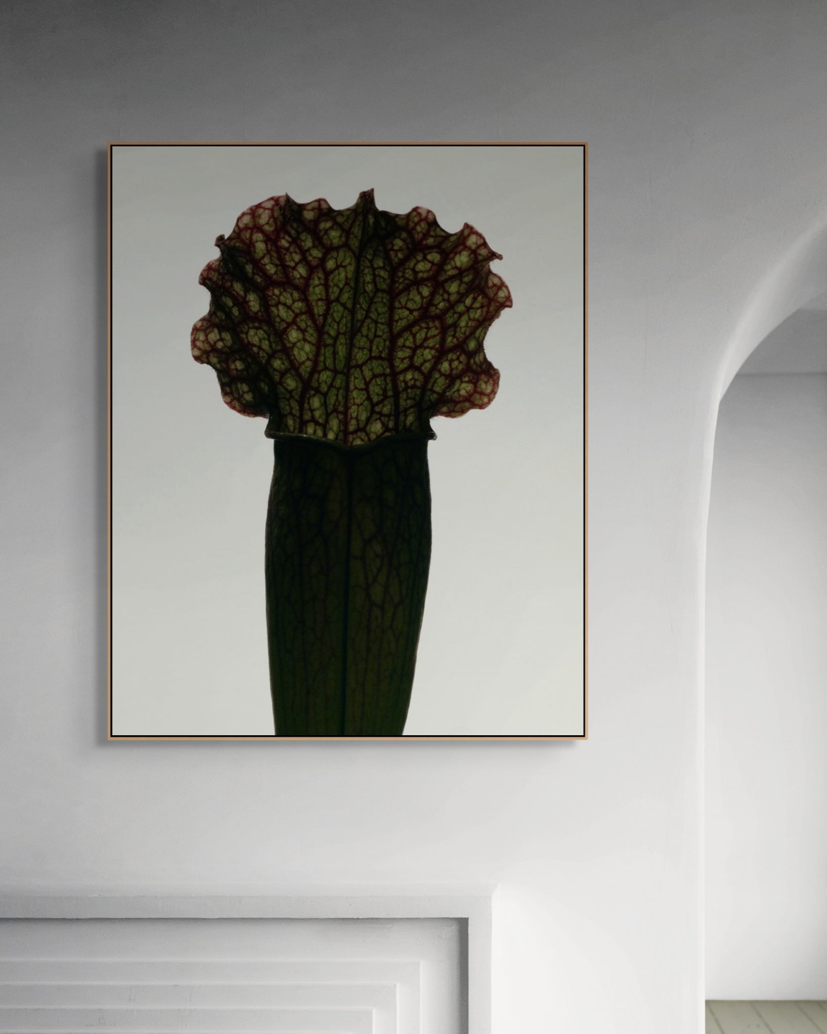 Framed artwork of a plant on a white wall