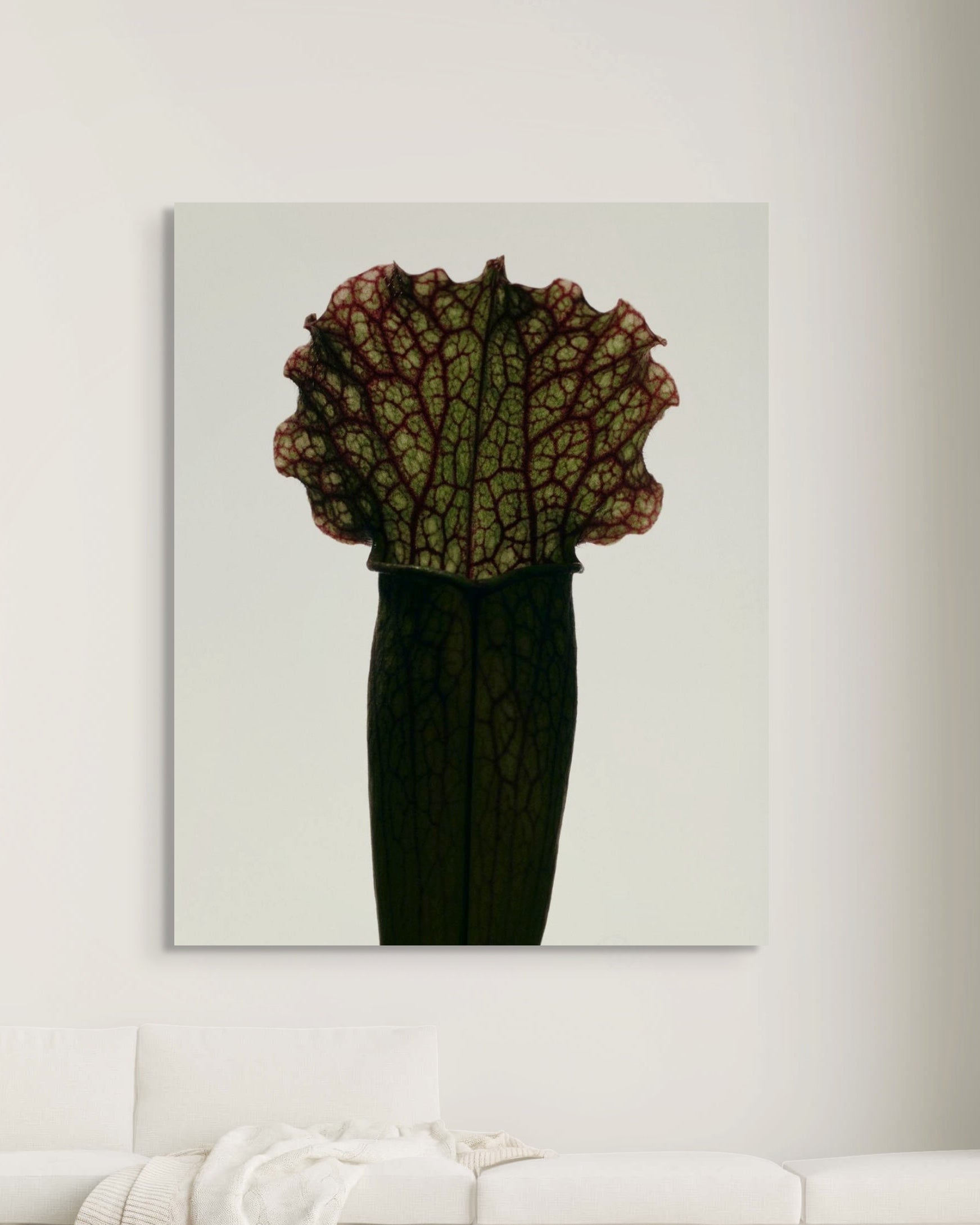 Artistic depiction of a leafy plant in a vase on a light gray background