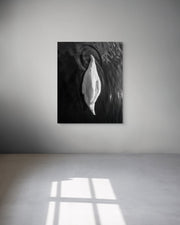 Black and white abstract artwork on a white wall