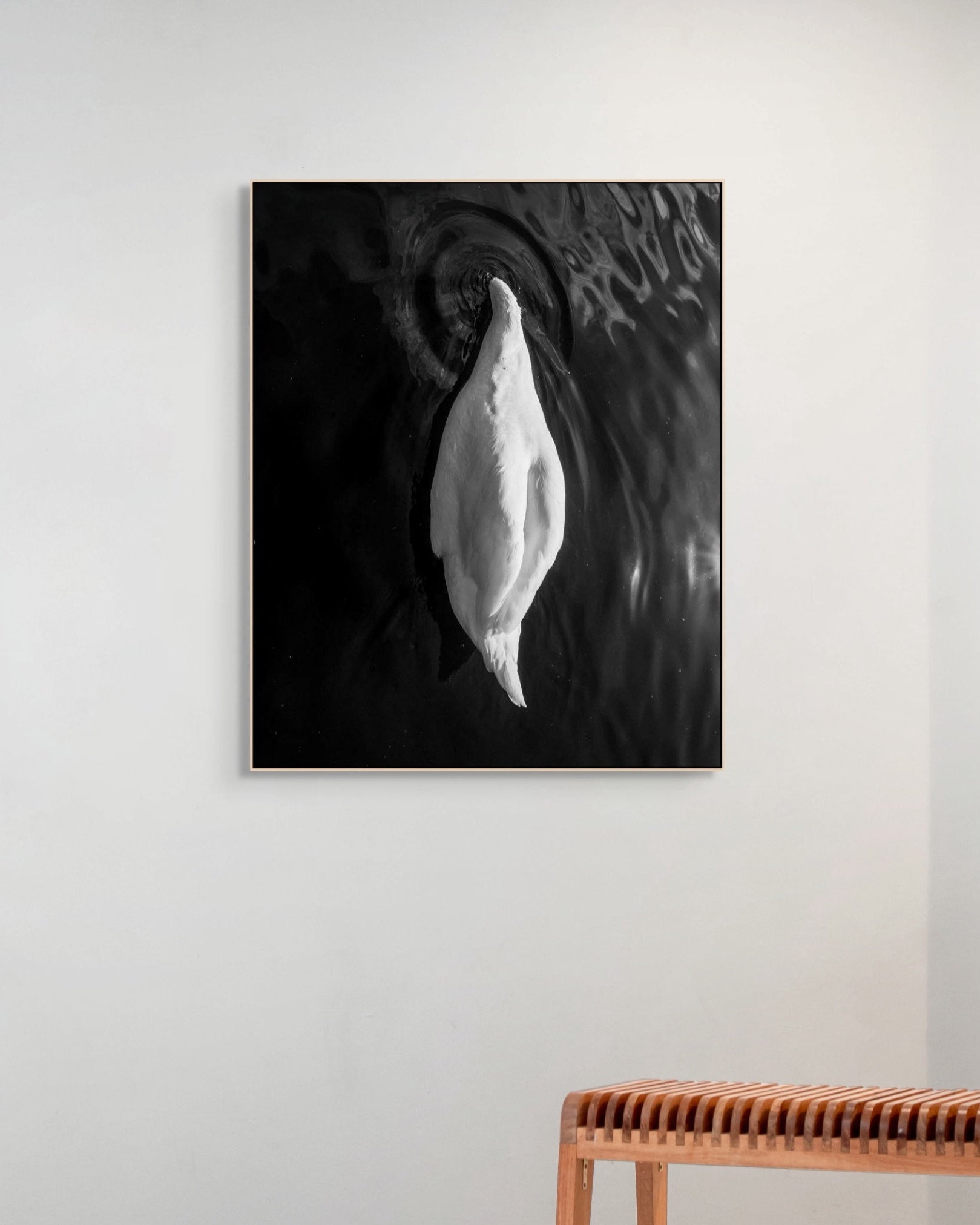 Framed black and white artwork of a shell on a plain wall with a wooden bench below.