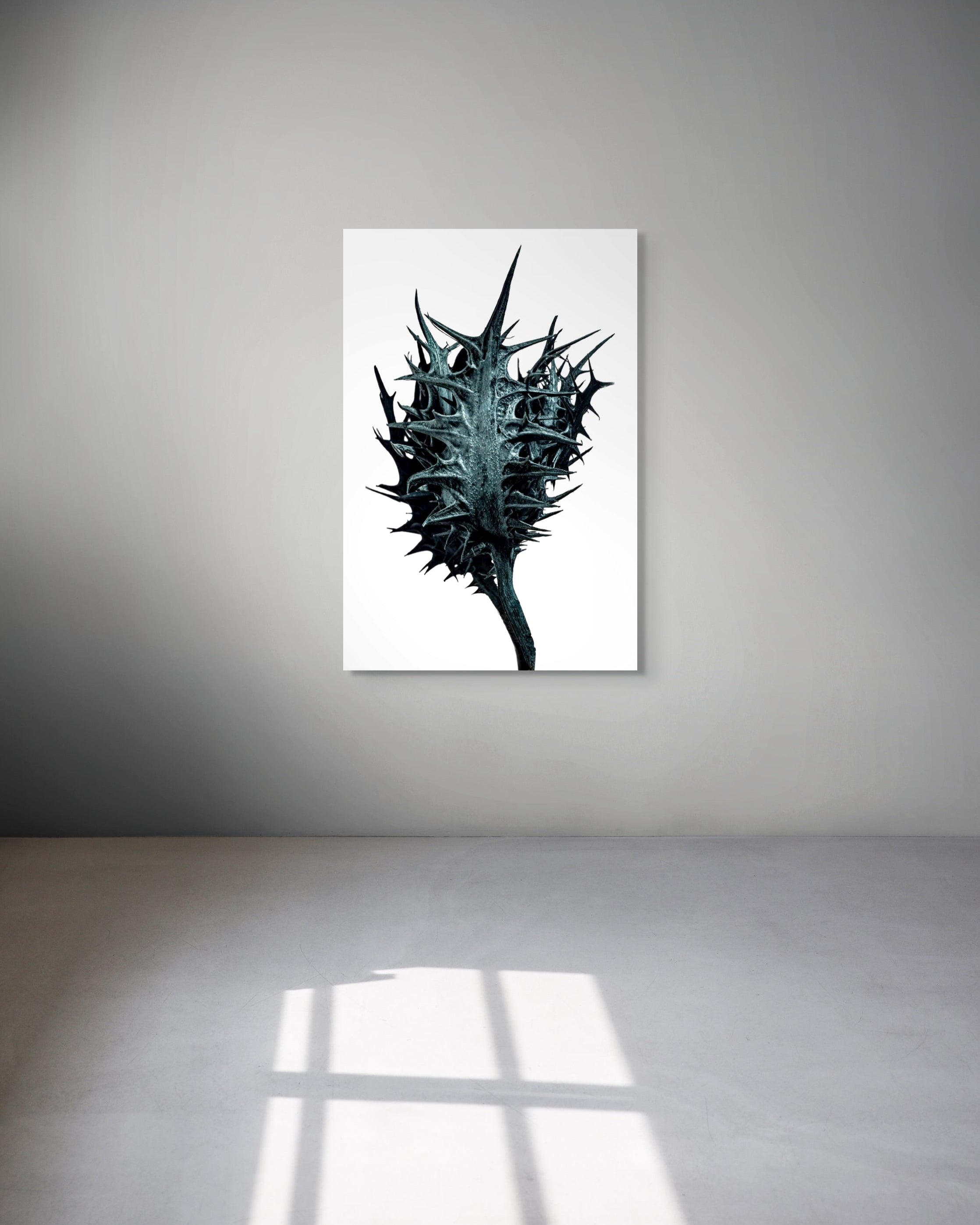 Framed artwork of a black thorny plant on a white wall
