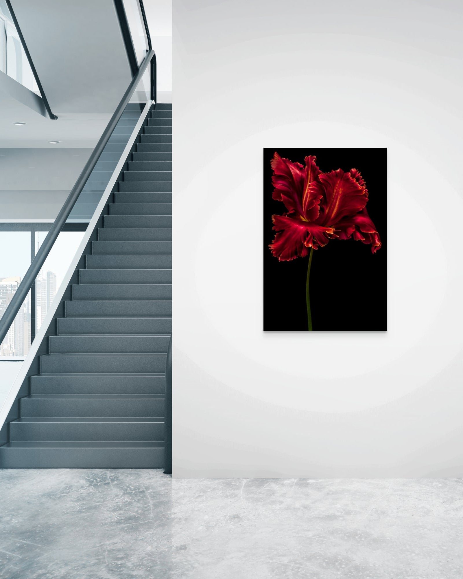 Tulipa "Red Parrot"