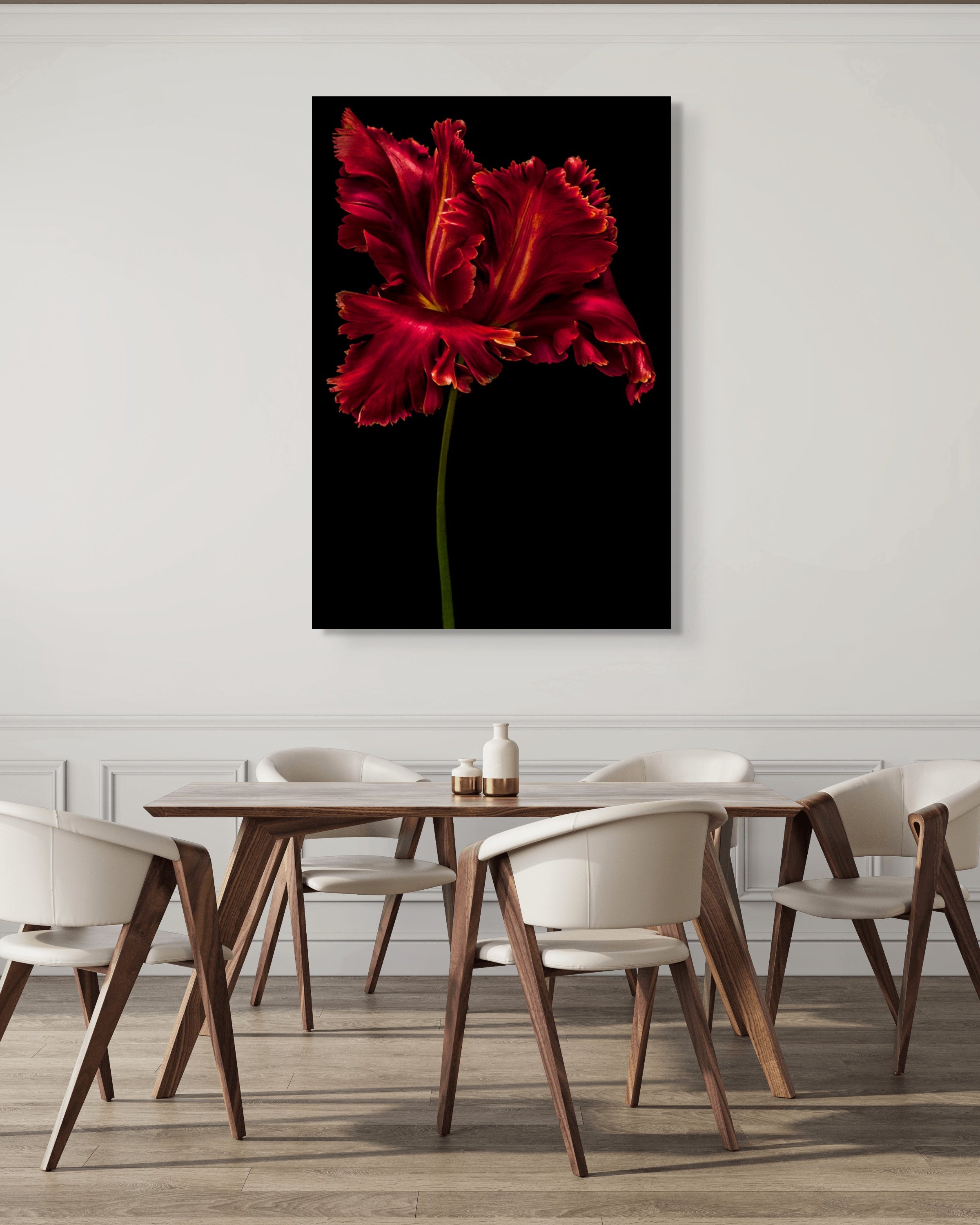 Tulipa "Red Parrot"