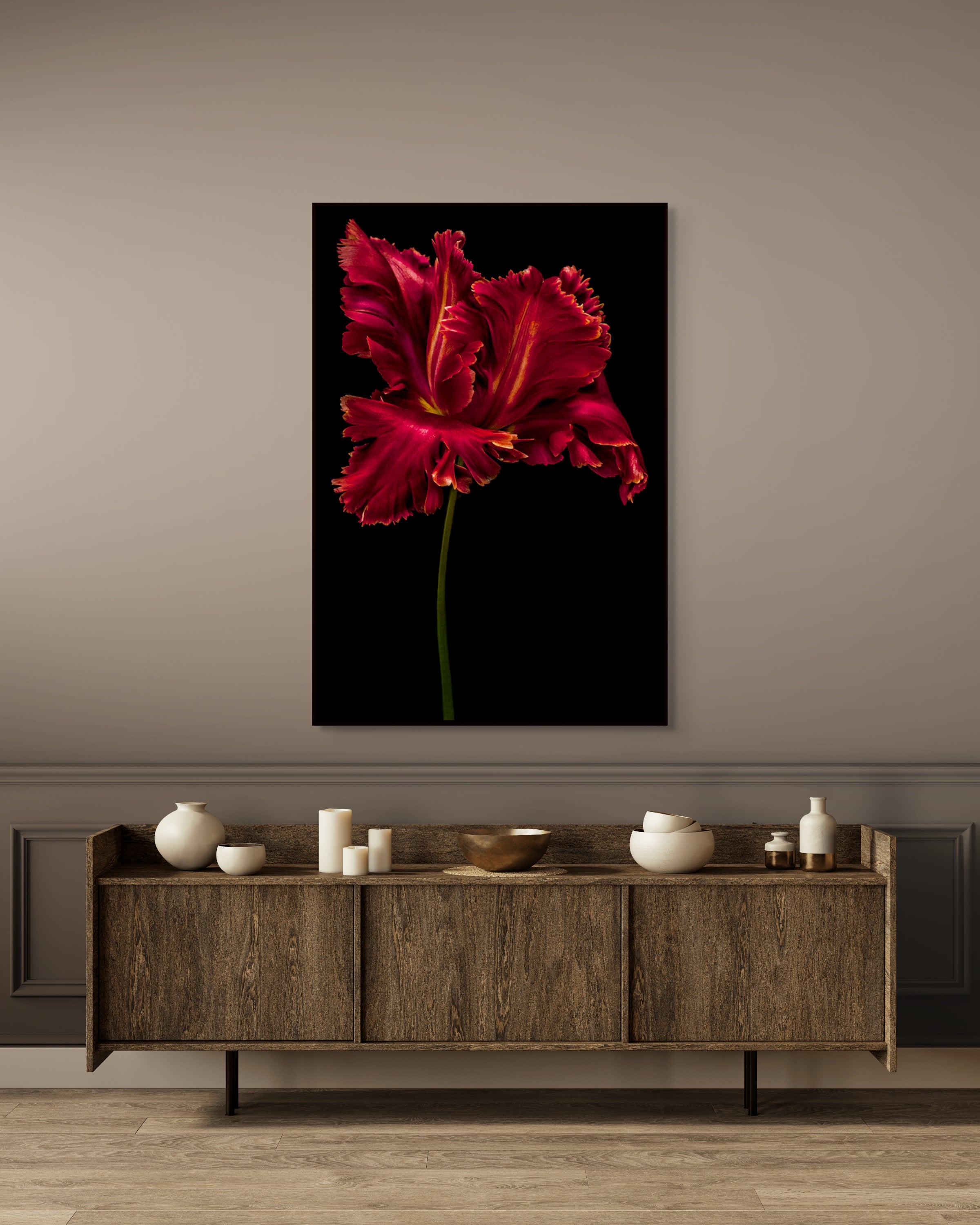 Tulipa "Red Parrot"