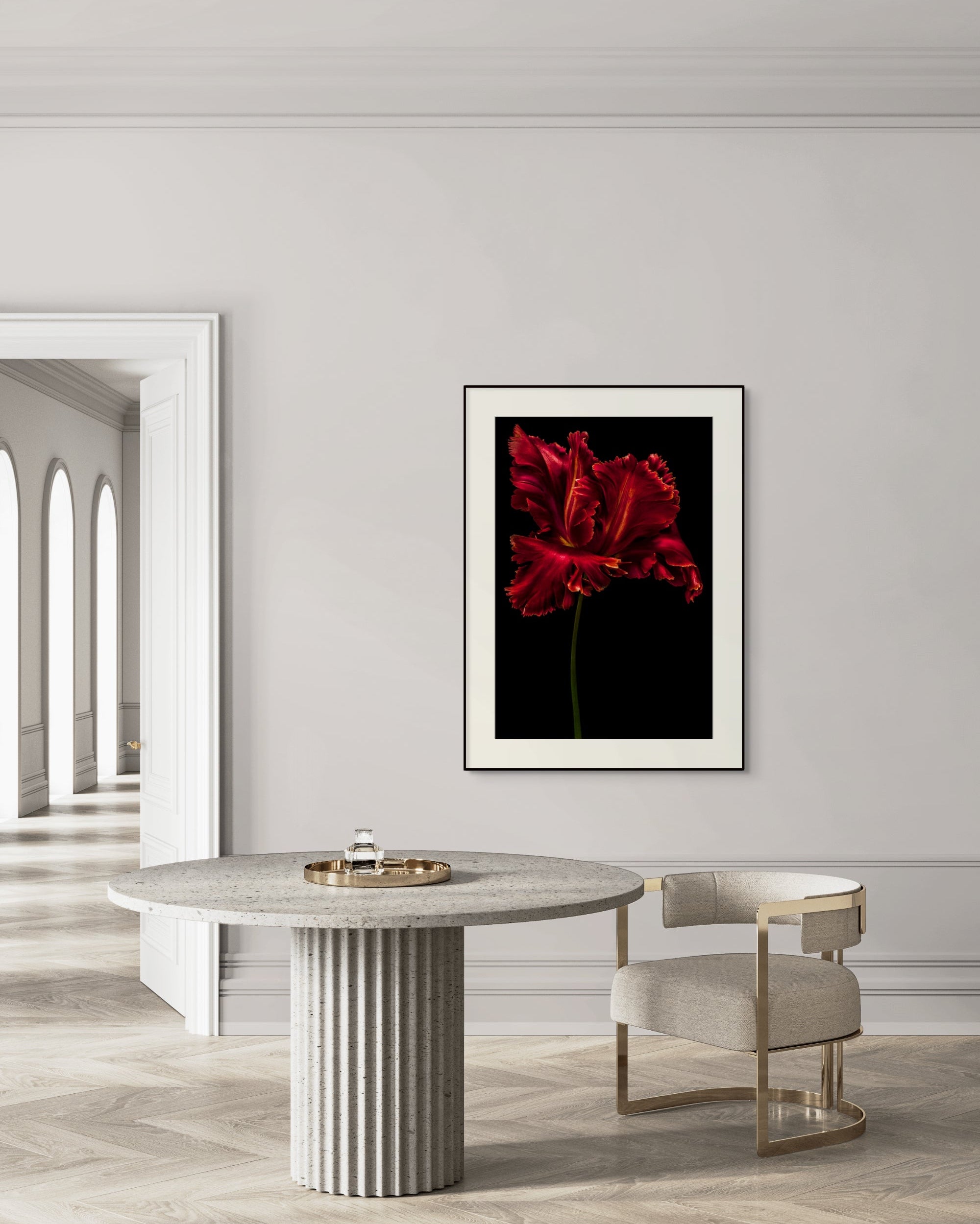 Tulipa "Red Parrot"