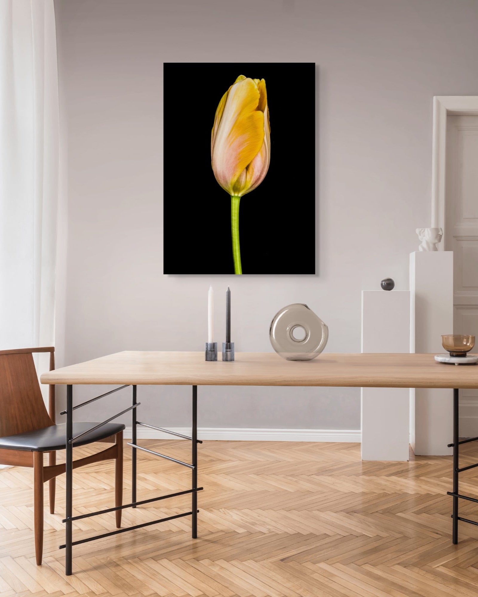 Tulipa Batavia