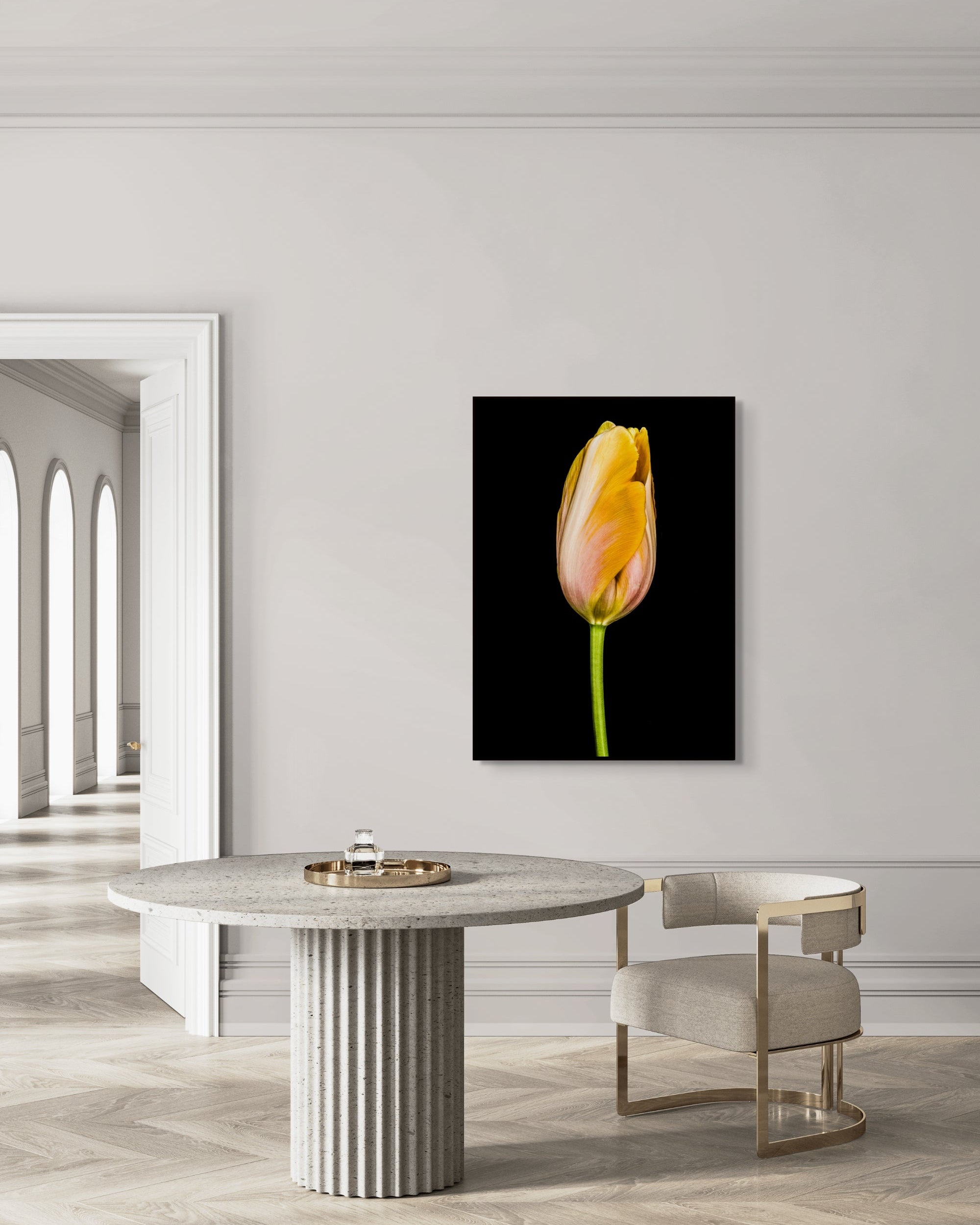 Tulipa Batavia