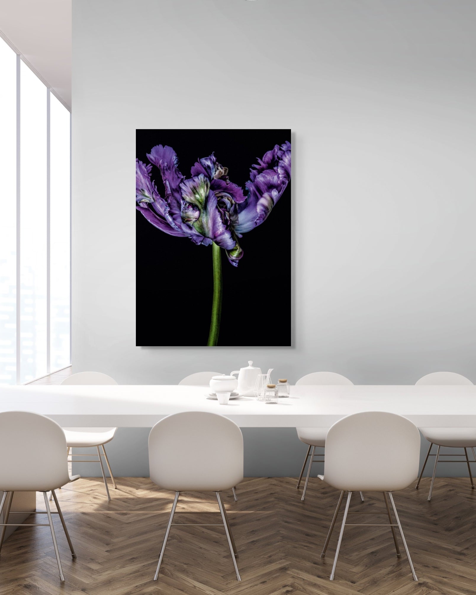 Tulipa I