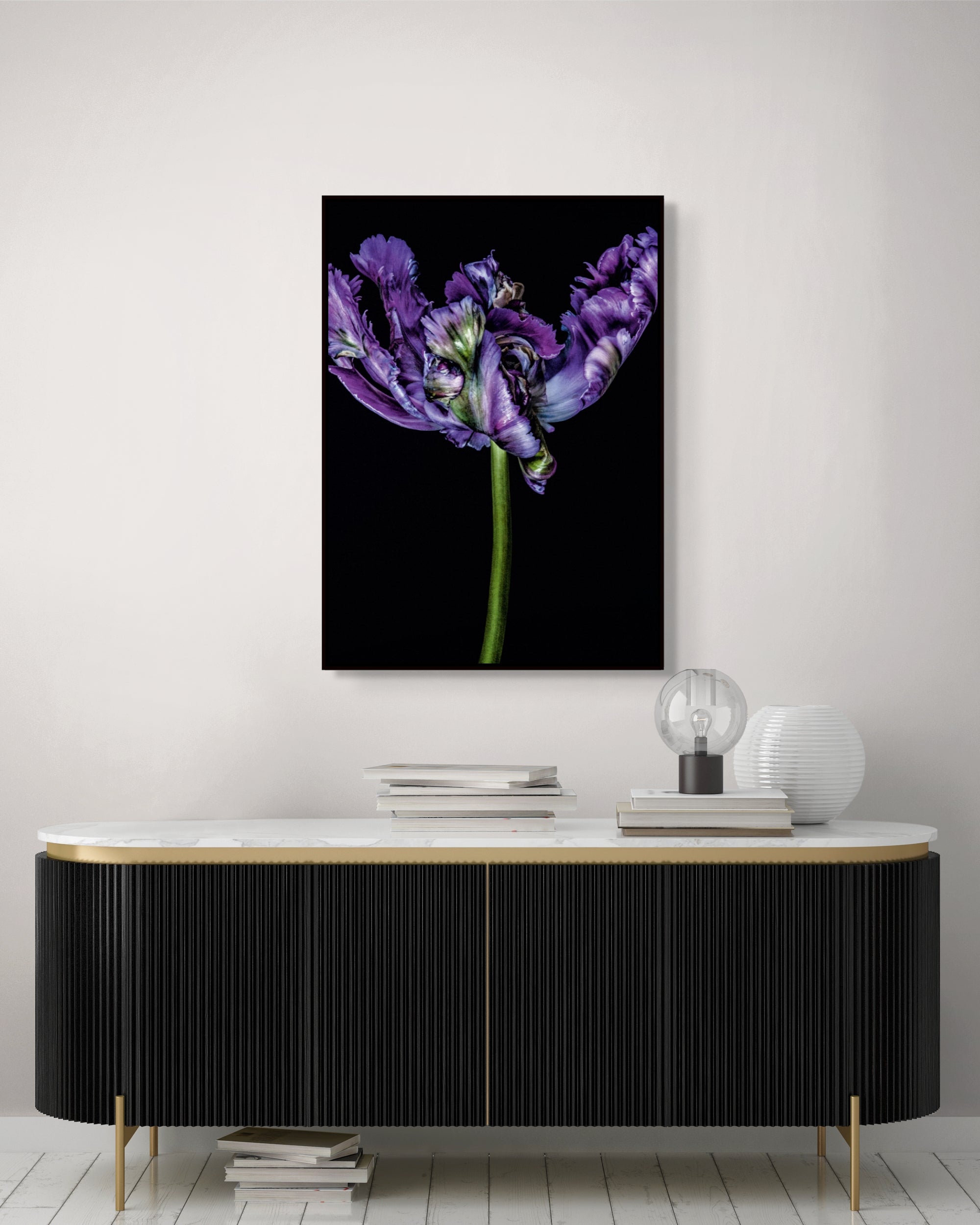 Tulipa I