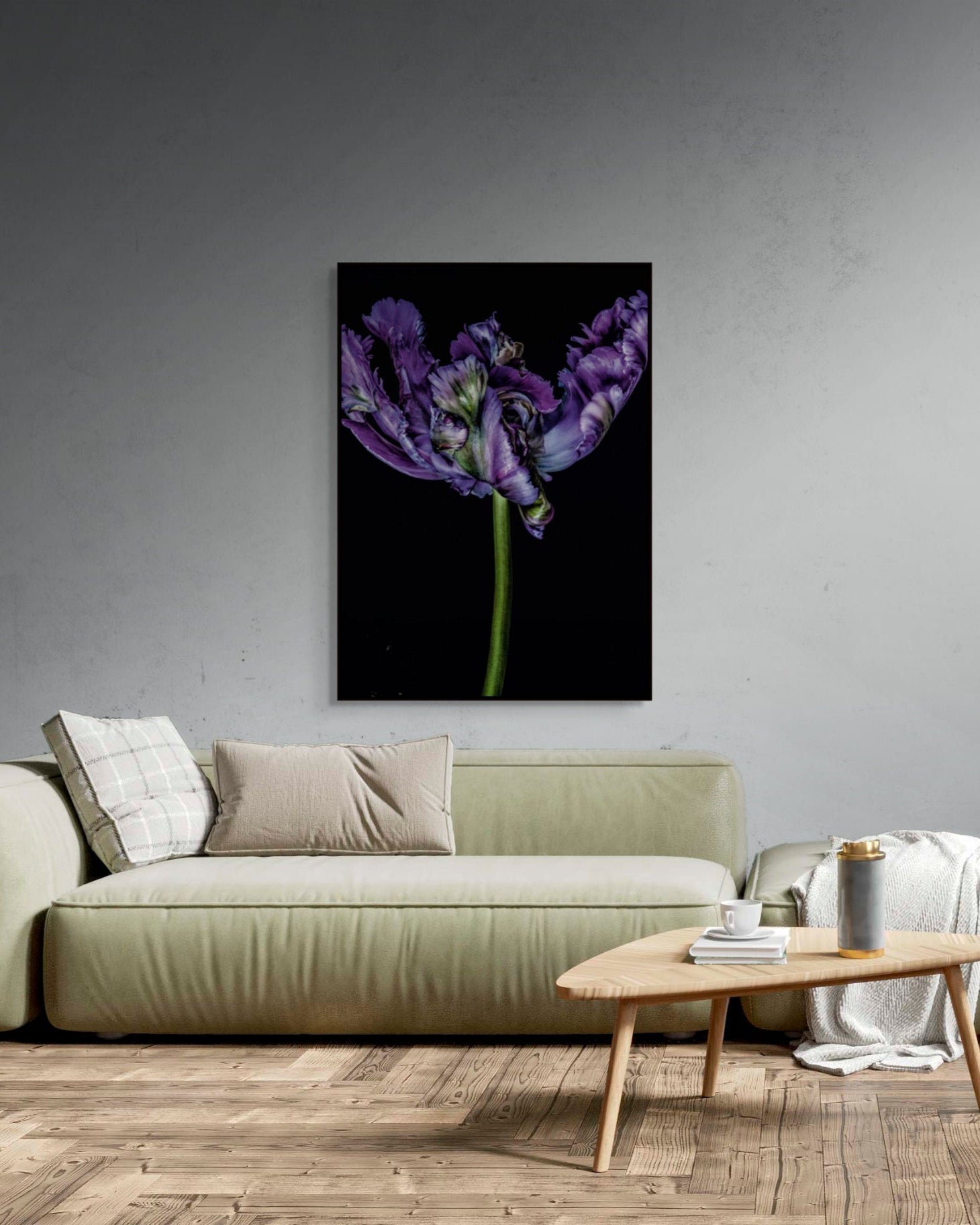 Tulipa I