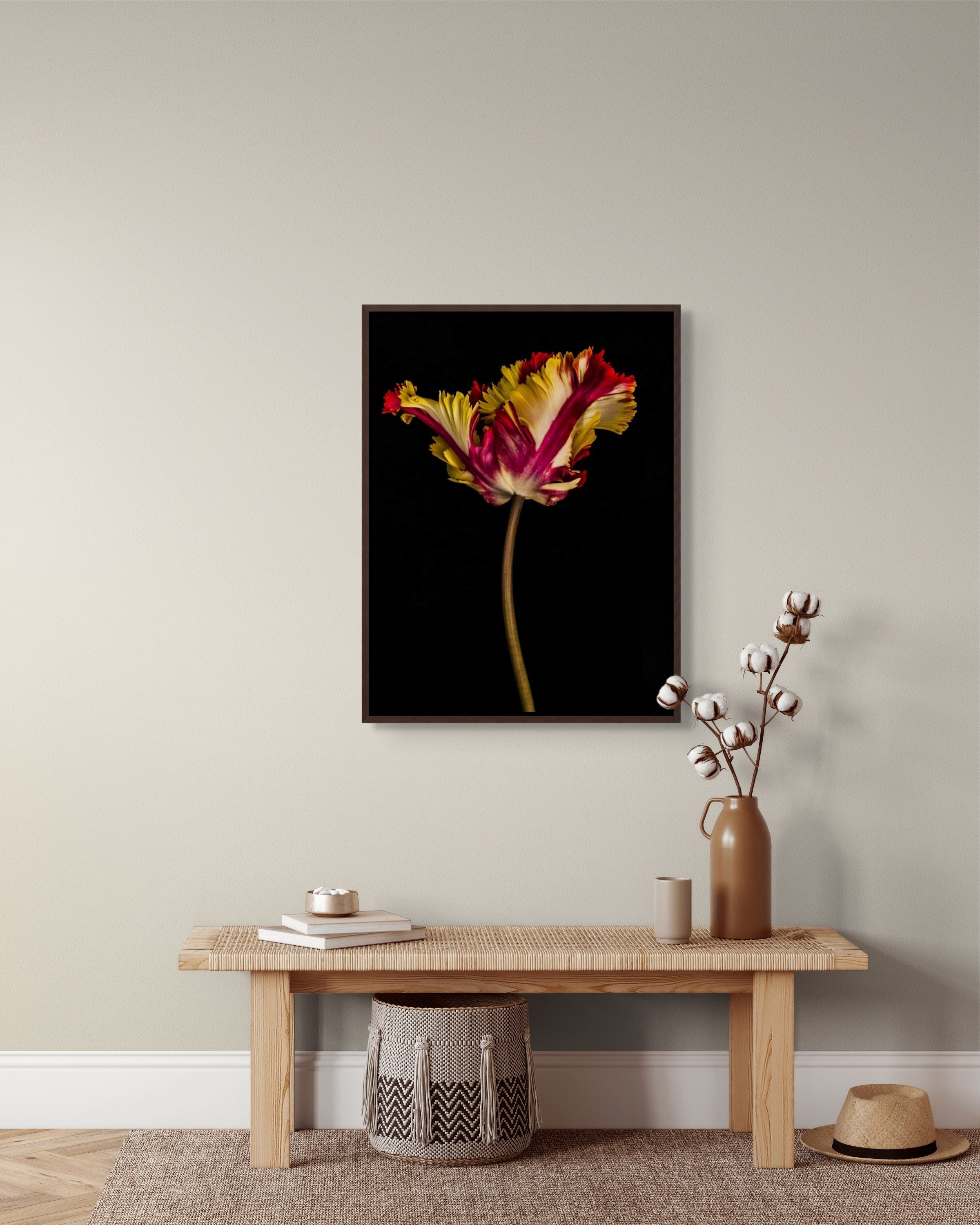 Tulipa IV