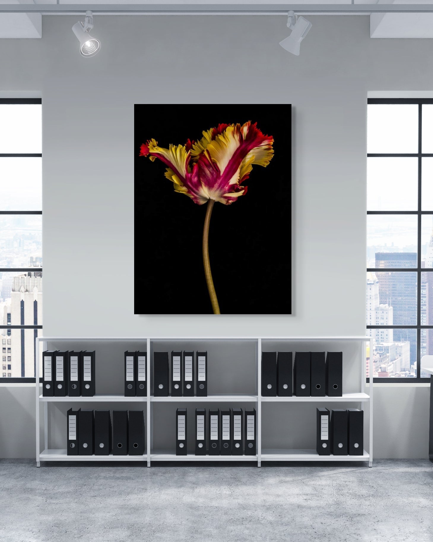 Tulipa IV
