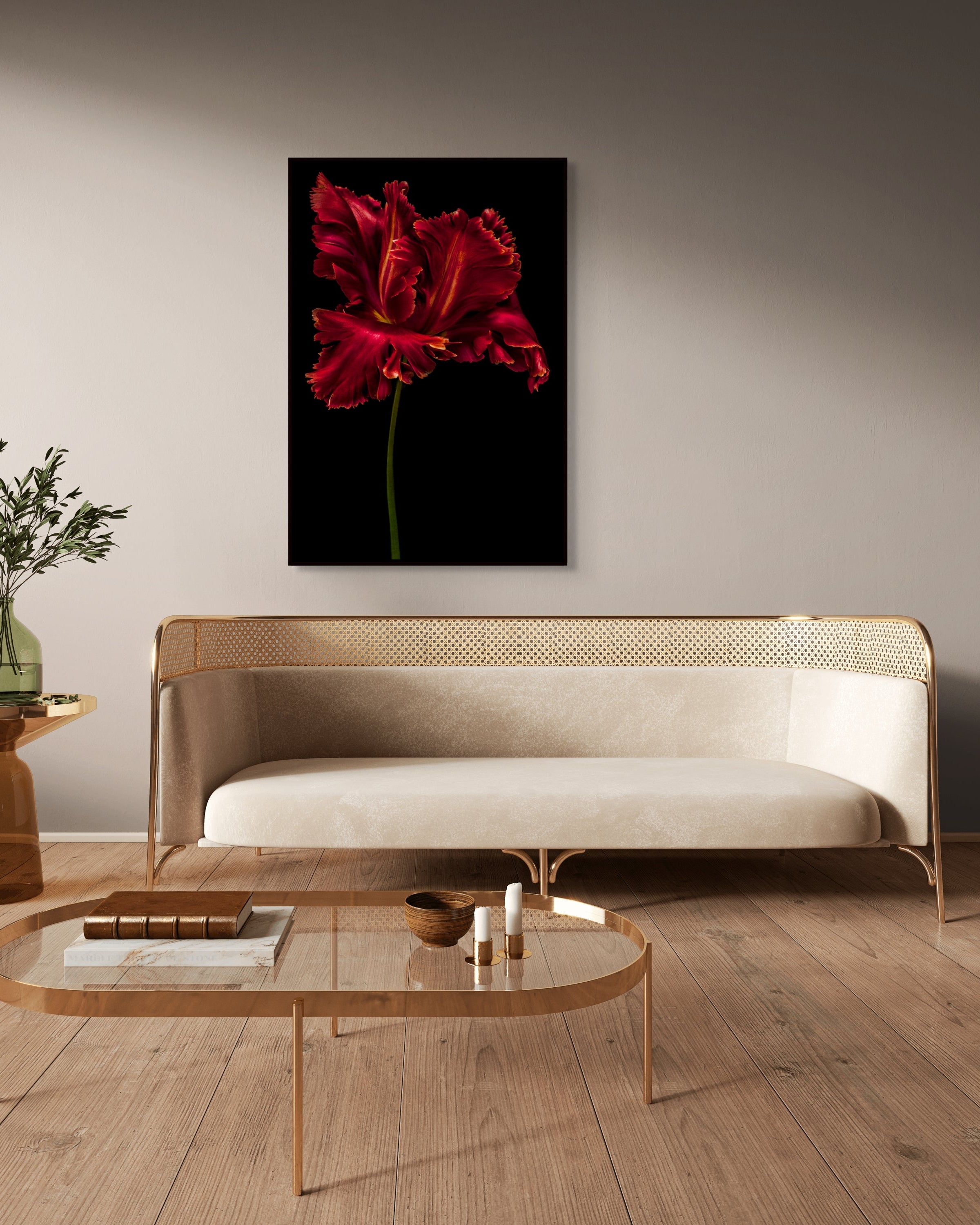 Tulipa "Red Parrot"