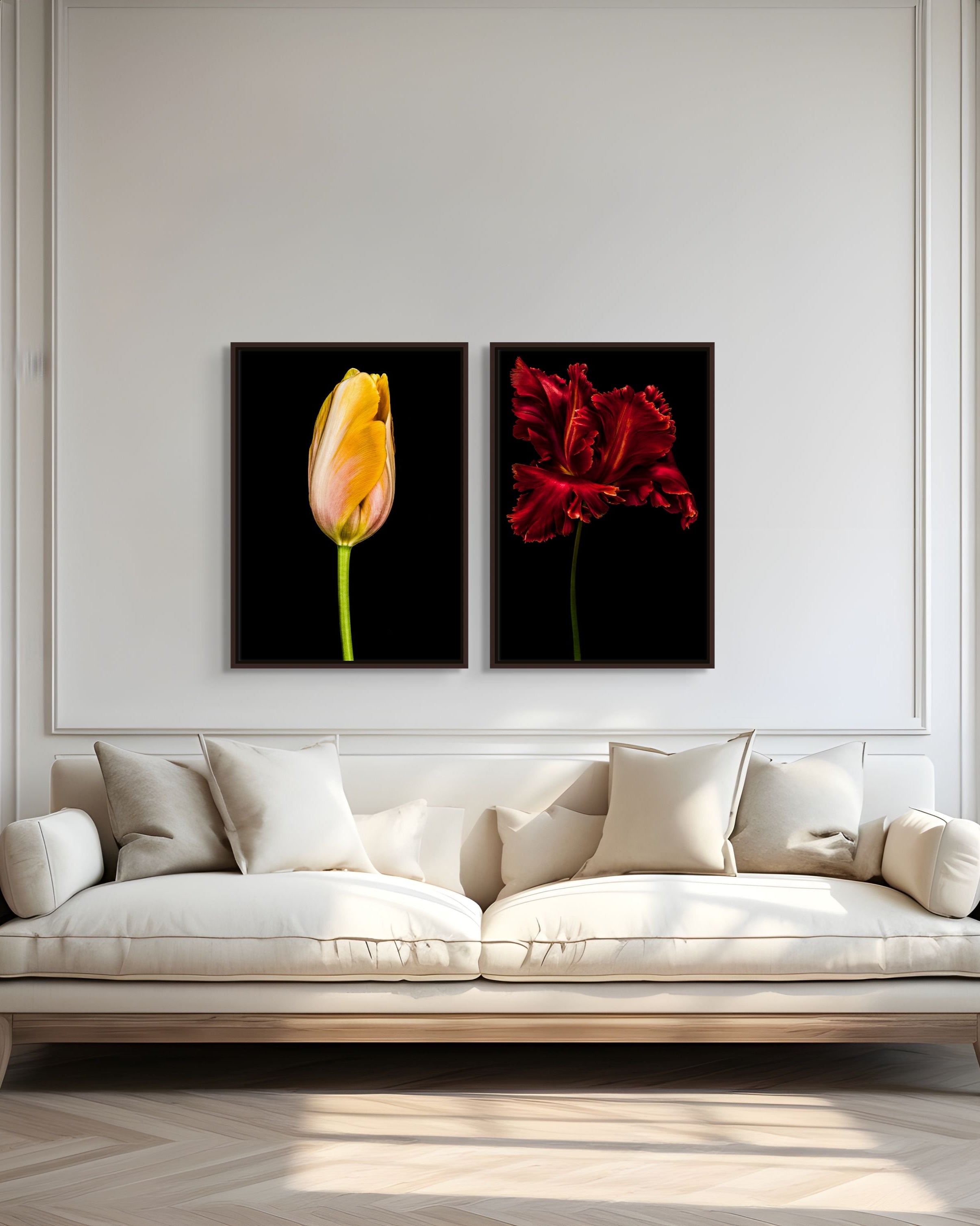 Tulipa Batavia